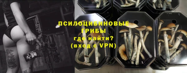 apvp Бугульма