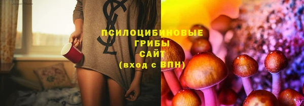 apvp Бугульма
