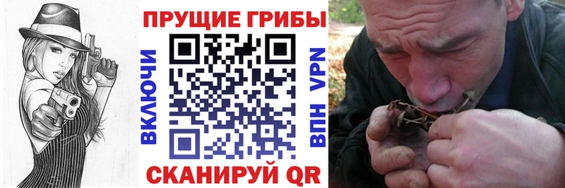 Галлюциногенные грибы Magic Shrooms  мега как войти  Ессентукская 